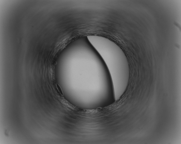 X0000091910720200709051211