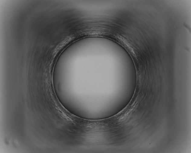 X0000091910721200709051211