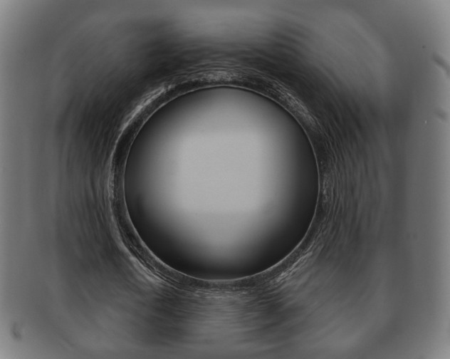X0000091910722200709051211