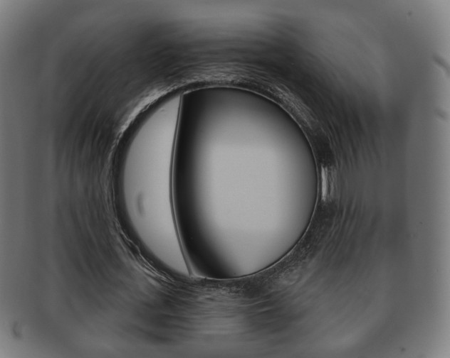 X0000091910723200709051211