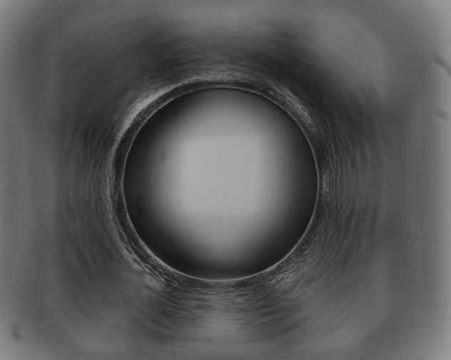 X0000091910724200709051211