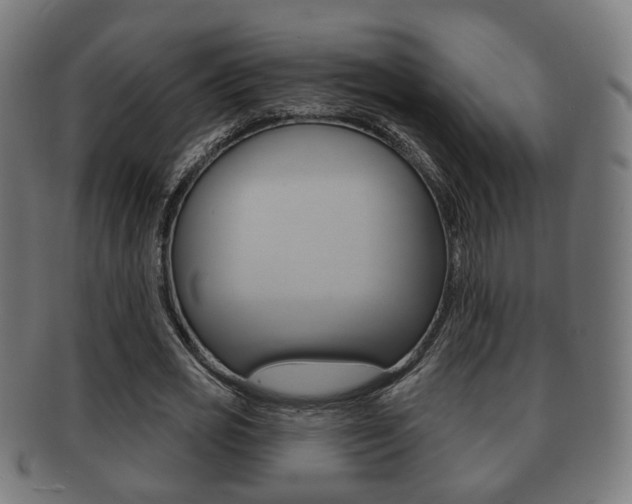 X0000091910725200709051211