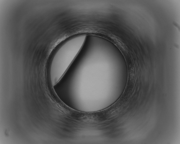 X0000091910727200709051211