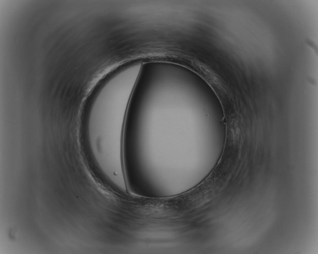 X0000091910728200709051211