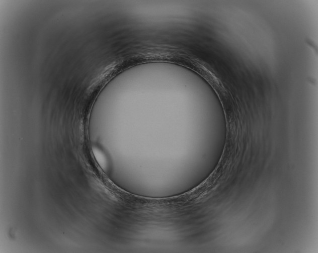 X0000091910729200709051211