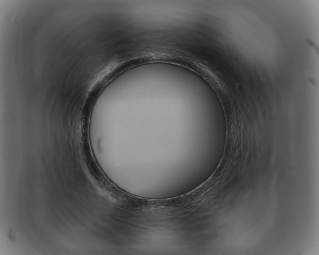 X0000091910730200709051211