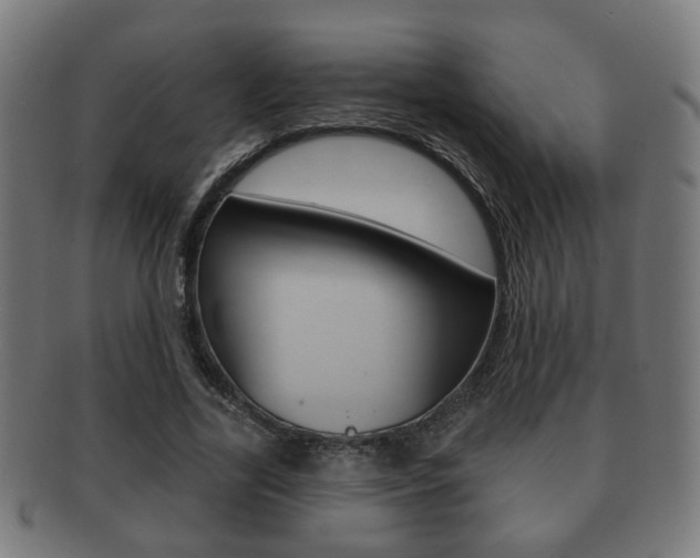 X0000091910731200709051211