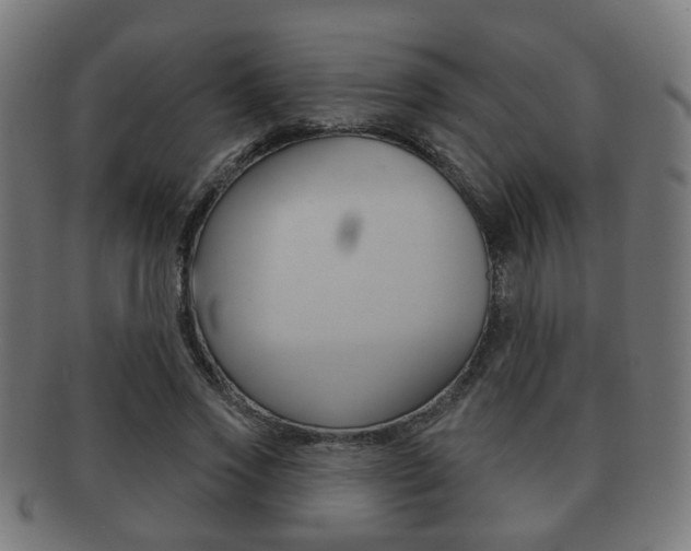X0000091910733200709051211
