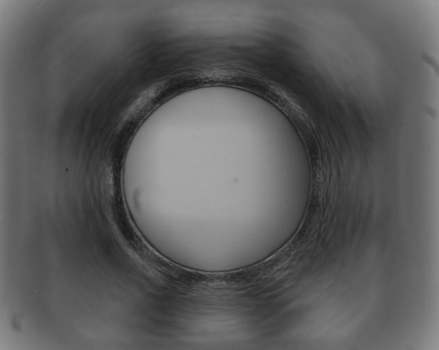 X0000091910734200709051211