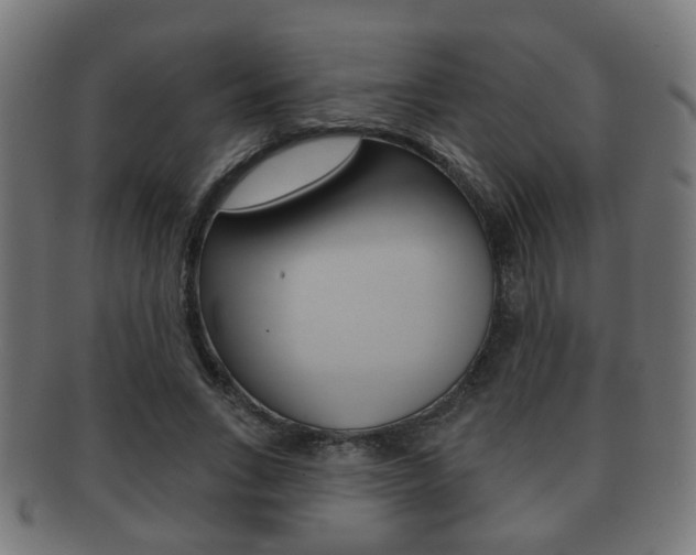 X0000091910735200709051211