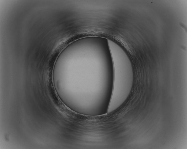X0000091910736200709051211