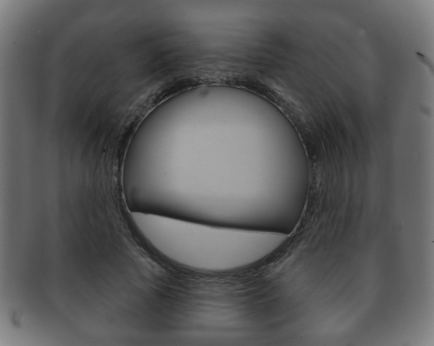 X0000091910737200709051211
