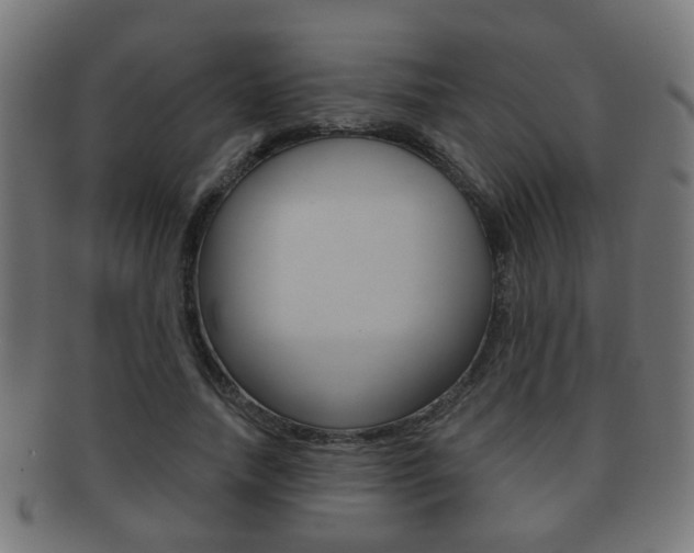 X0000091910738200709051211