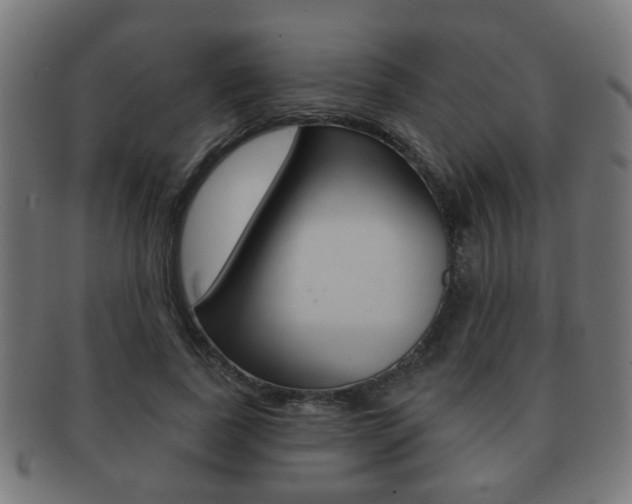 X0000091910739200709051211