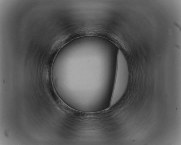 X0000091910740200709051211