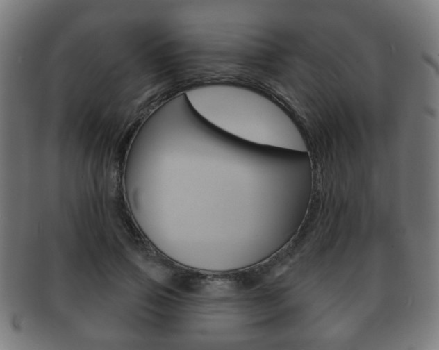 X0000091910741200709051211