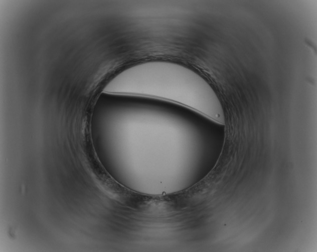 X0000091910742200709051211