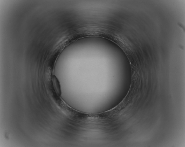 X0000091910744200709051211