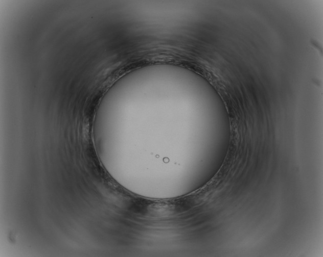 X0000091910745200709051211