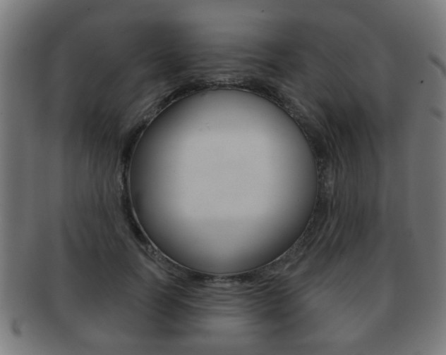 X0000091910746200709051211