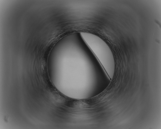 X0000091910747200709051211