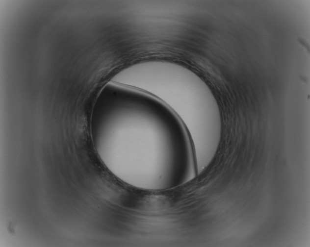 X0000091910748200709051211