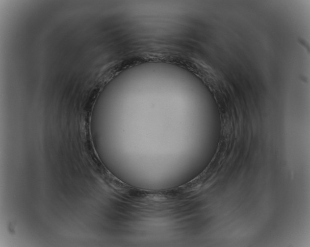 X0000091910749200709051211