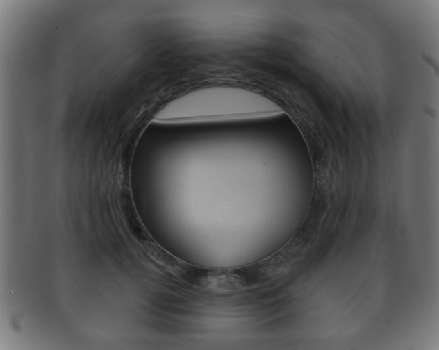 X0000091910752200709051211