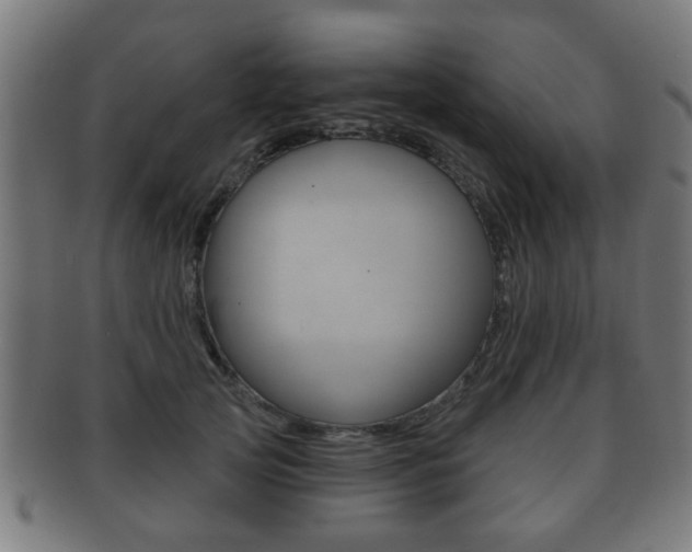 X0000091910753200709051211