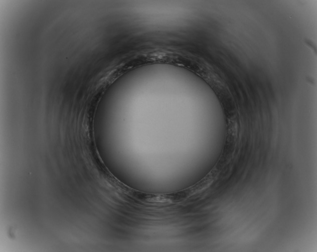 X0000091910754200709051211