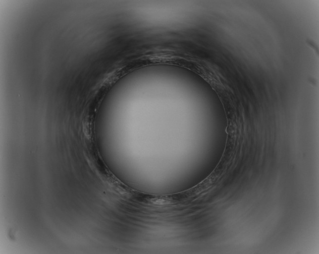 X0000091910755200709051211