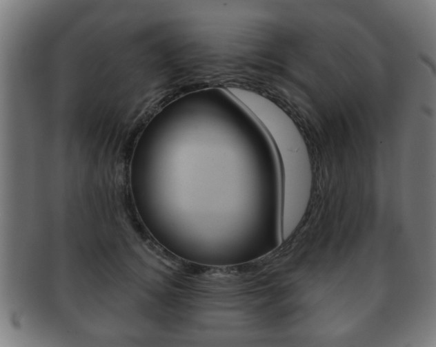 X0000091910756200709051211