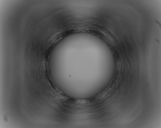 X0000091910757200709051211