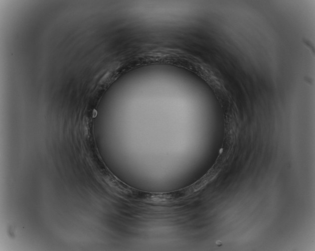 X0000091910758200709051211