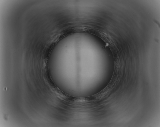 X0000091910759200709051211