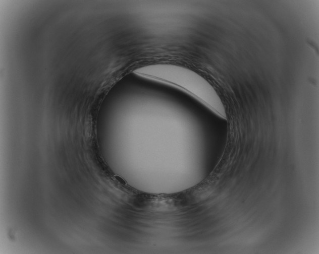 X0000091910760200709051211