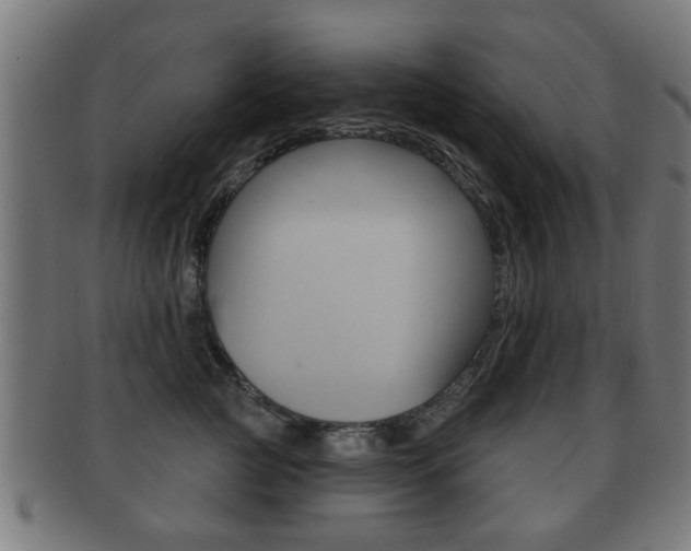 X0000091910761200709051211