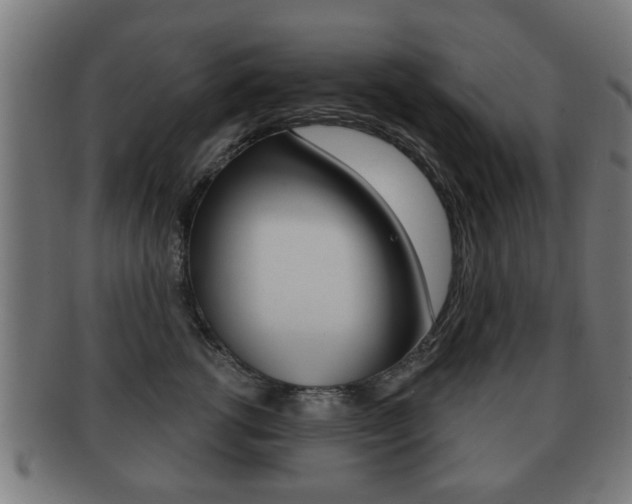 X0000091910762200709051211