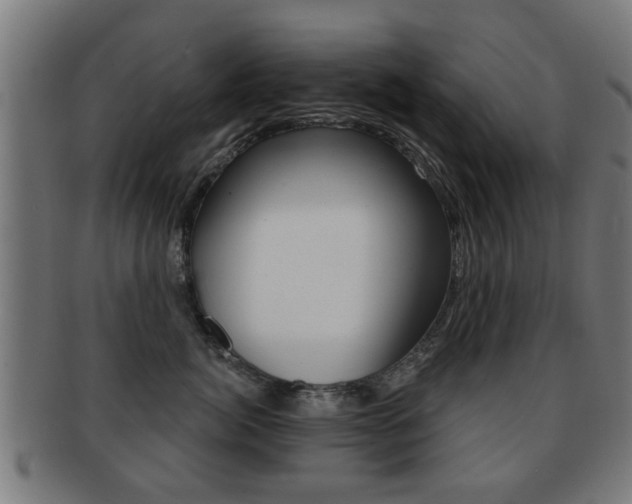 X0000091910764200709051211