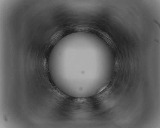 X0000091910765200709051211