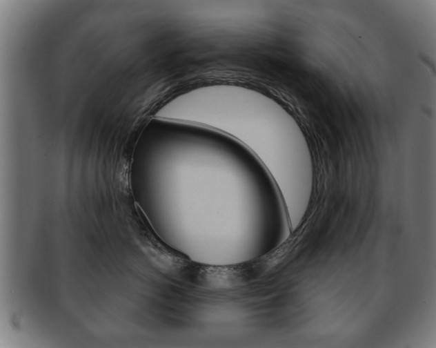 X0000091910766200709051211
