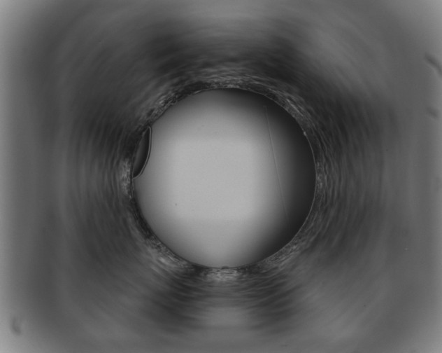 X0000091910767200709051211