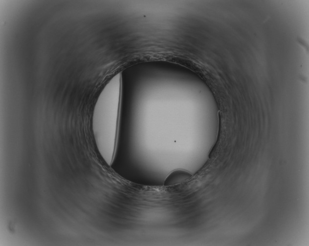 X0000091910768200709051211