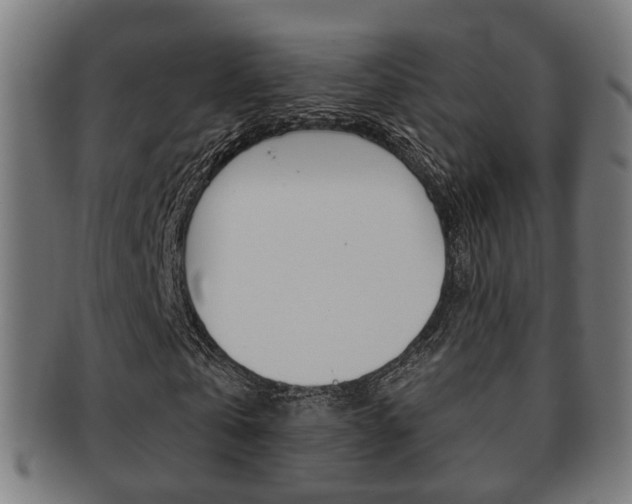 X0000091910769200709051211