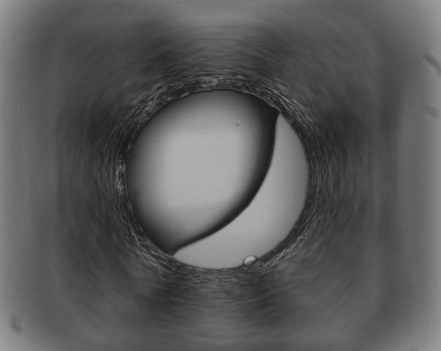 X0000091910770200709051211