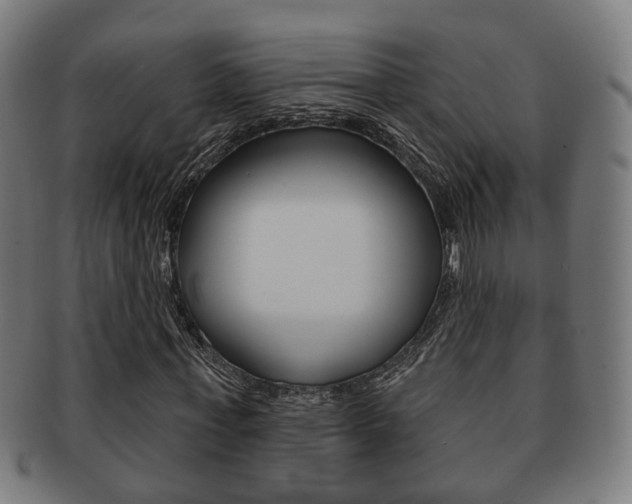 X0000091910771200709051211