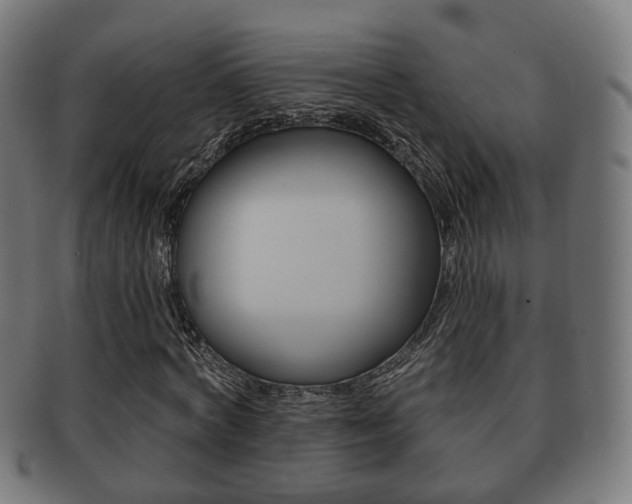 X0000091910772200709051211