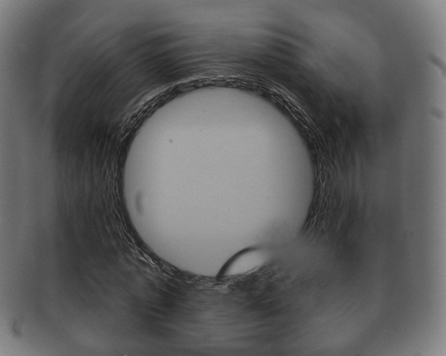 X0000091910773200709051211