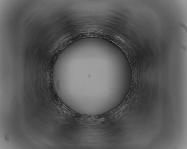 X0000091910774200709051211
