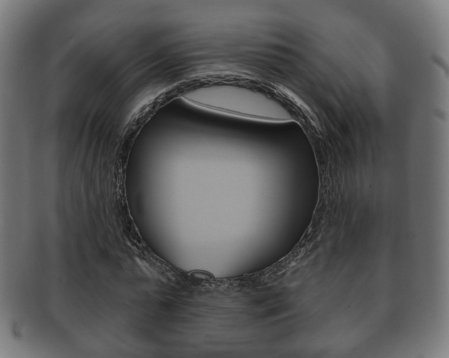 X0000091910775200709051211